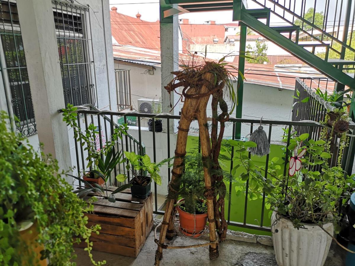 La Terraza Hostel 플로레스 외부 사진